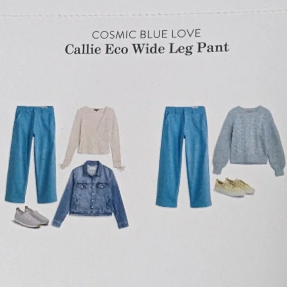 🌸 Cosmic Blue Callie Echo Wide Leg Pant Size 4 NWT STITCH FIX - Picture 6 of 7